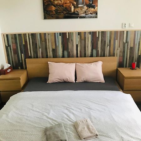 Apartman Stursovka Brno Exteriör bild